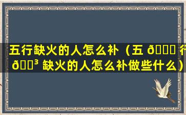 五行缺火的人怎么补（五 🐞 行 🐳 缺火的人怎么补做些什么）